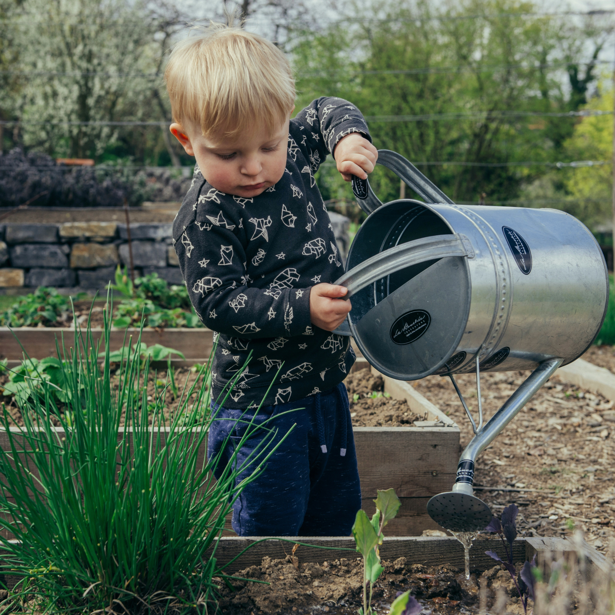 Tips On Chores & How To Help Build Responsibility
