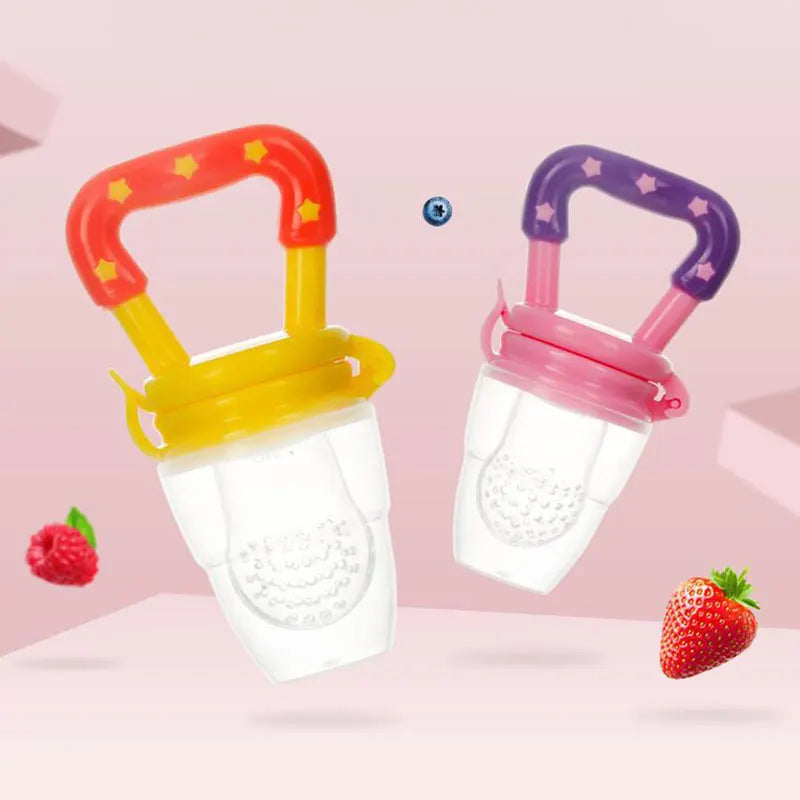 Early Nutrition Food Pacifier & Soother