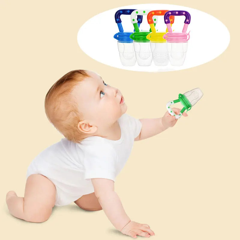 Early Nutrition Food Pacifier & Soother