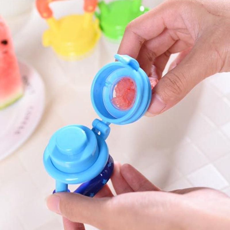 Early Nutrition Food Pacifier & Soother