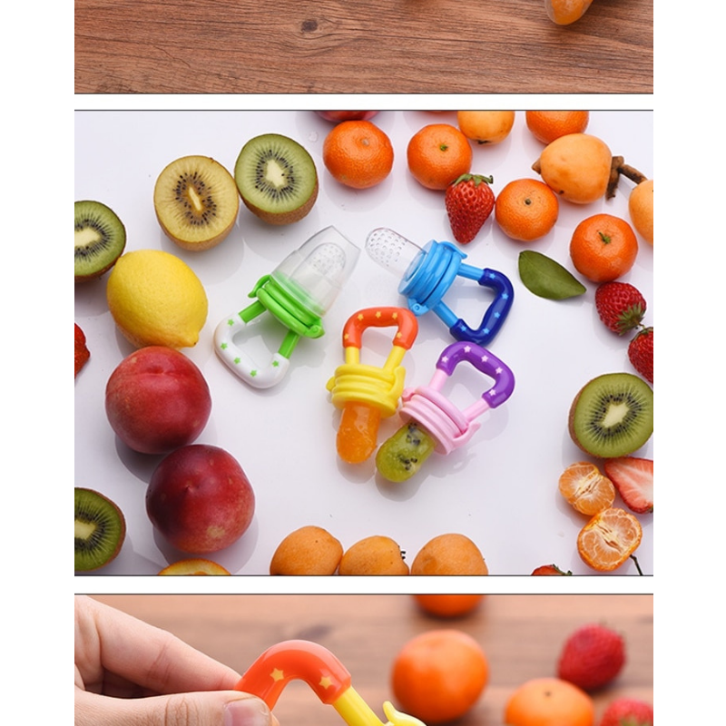 Early Nutrition Food Pacifier & Soother