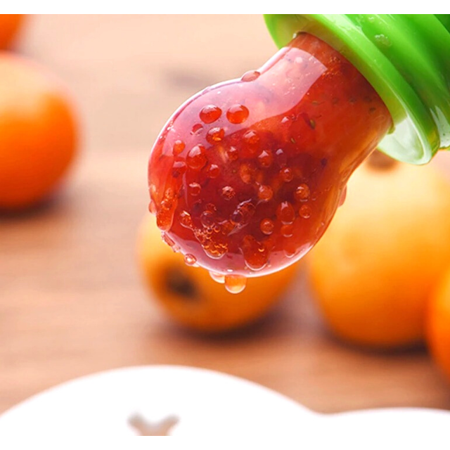 Early Nutrition Food Pacifier & Soother