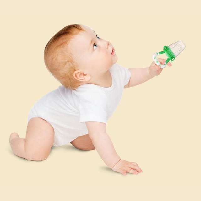 Early Nutrition Food Pacifier & Soother
