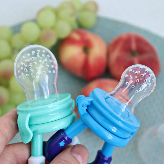 Early Nutrition Food Pacifier & Soother